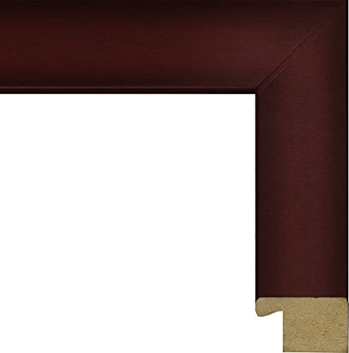 Central Michigan University - Officially Licensed - PhD - Gold Embossed Diploma Frame - Document Size 14" x 11"