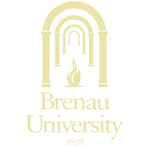 Brenau University - Officially Licensed - Gold Embossed Tassel Diploma Frame - Document Size 11" x 8.5"