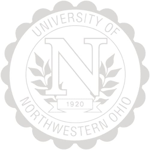 University of Northwestern Ohio - Officially Licensed - Master's - Silver Embossed Diploma Frame - Document Size 10" x 8"