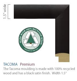 Church Hill Classics Florida State University - Dimensions Edition - Featuring Tacoma Moulding - Officially Licensed - Diploma Size 14" x 11"