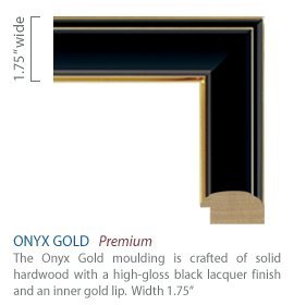 Church Hill Classics United States Navy Certificate Frame - Featuring Onyx Gold Moulding - Vertical Orientation - Officially Licensed - Document Size 11" x 14"