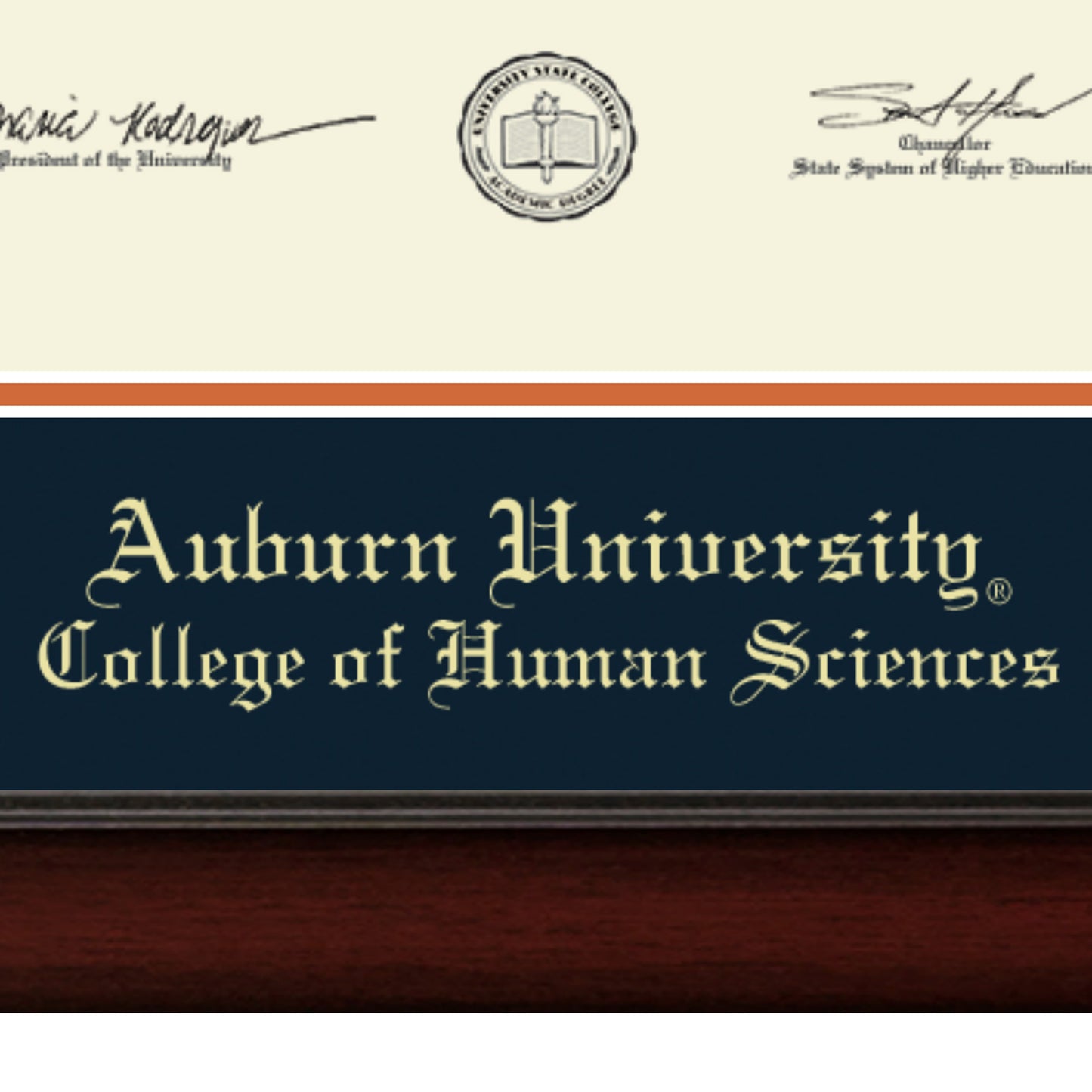 Auburn University College of Human Sciences - Officially Licensed - Gold Embossed Diploma Frame - Document Size 17" x 13"