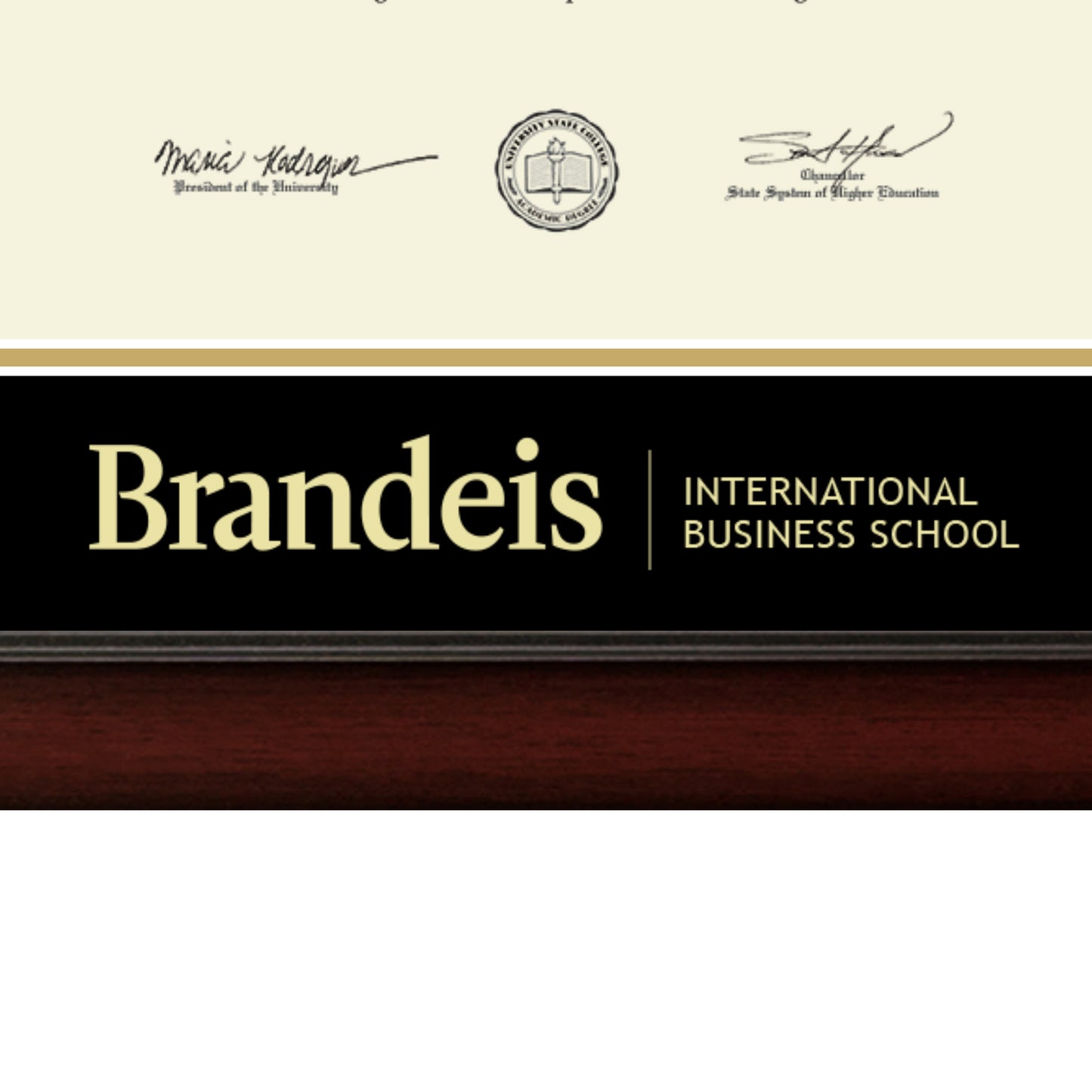 Brandeis University International Business School - Officially Licensed - Gold Embossed Diploma Frame - Document Size 12" x 9.5"