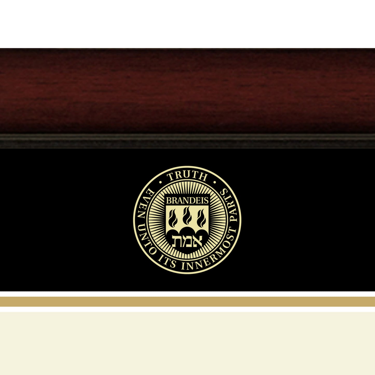 Brandeis University International Business School - Officially Licensed - Gold Embossed Diploma Frame - Document Size 12" x 9.5"