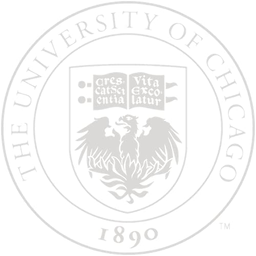 University of Chicago - Officially Licensed - Silver Embossed Diploma Frame - Document Size 12" x 9"