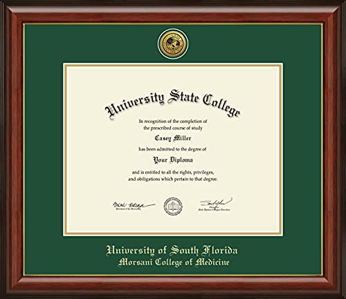 University of South Florida Morsani College of Medicine - Officially Licensed - Gold Medallion Diploma Frame - Document Size 14" x 11"