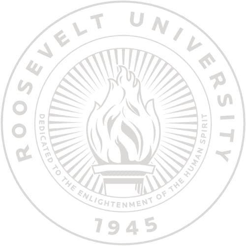 Roosevelt University - Officially Licensed - Silver Embossed Tassel Diploma Frame - Document Size 10" x 8"