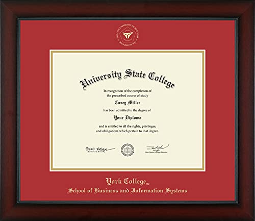 York College in New York School of Business and Information Systems - Officially Licensed - Gold Embossed Diploma Frame - Document Size 11" x 8.5"