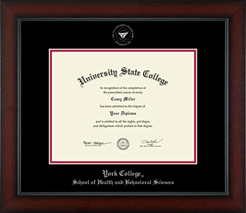 York College in New York School of Health and Behavioral Sciences - Officially Licensed - Silver Embossed Diploma Frame - Document Size 11" x 8.5"