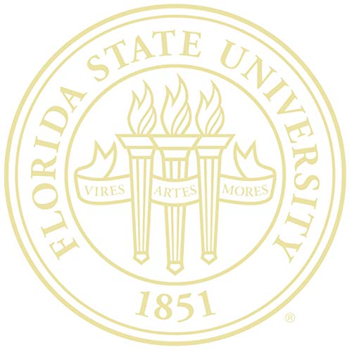 Church Hill Classics Florida State University - Gold Embossed - Featuring Onyx Gold Moulding - Officially Licensed - Diploma Size 14" x 11"