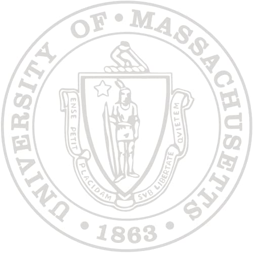 University of Massachusetts Boston - Officially Licensed - Silver Embossed Diploma Frame - Document Size 11" x 8.5"