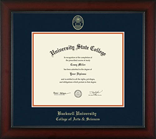 Bucknell University College of Arts & Sciences - Officially Licensed - Gold Embossed Diploma Frame - Document Size 10" x 8"