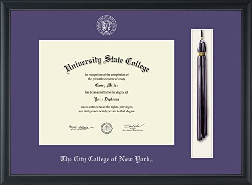 The City College of New York - Officially Licensed - Silver Embossed Tassel Diploma Frame - Document Size 11" x 8.5"