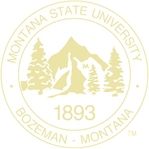 Montana State University Bozeman - Officially Licensed - Gold Embossed Tassel Diploma Frame - Document Size 11" x 8.5"