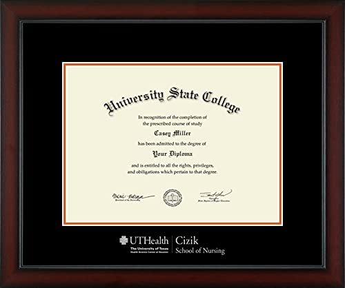 University of Texas Health Science Center at Houston Cizik School of Nursing - Officially Licensed - Silver Embossed Diploma Frame - Document Size 16.25" x 12"