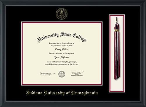 Indiana University of Pennsylvania - Officially Licensed - Gold Embossed Tassel Diploma Frame - Document Size 11" x 8.5"