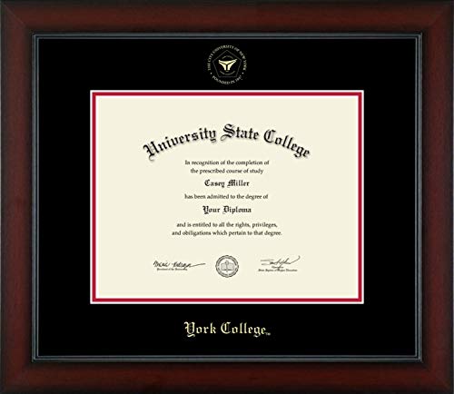 York College in New York - Officially Licensed - Gold Embossed Diploma Frame - Document Size 11" x 8.5"