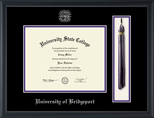 University of Bridgeport - Officially Licensed - Silver Embossed Tassel Diploma Frame - Document Size 10" x 8"