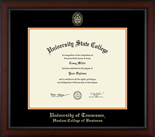 The University of Tennessee Knoxville Haslam College of Business - Officially Licensed - Gold Embossed Diploma Frame - Document Size 17" x 14"