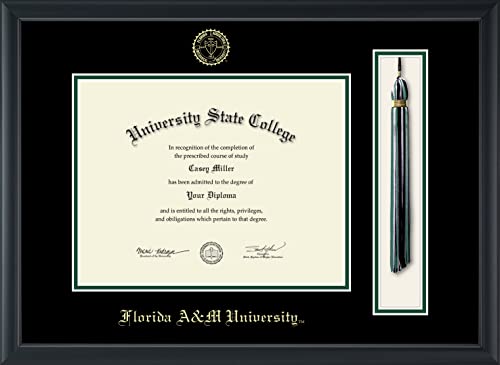 Florida A&M University - Officially Licensed - Gold Embossed Tassel Diploma Frame - Document Size 11" x 8.5"