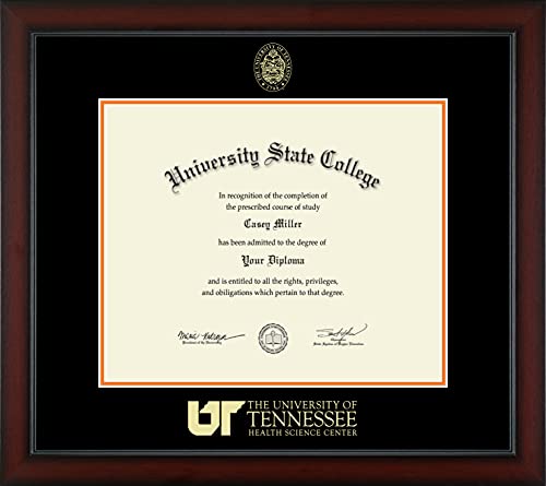 Framerly For The University of Tennessee Health Science Center Memphis - Officially Licensed - Gold Embossed Diploma Frame - Document Size 17" x 14"