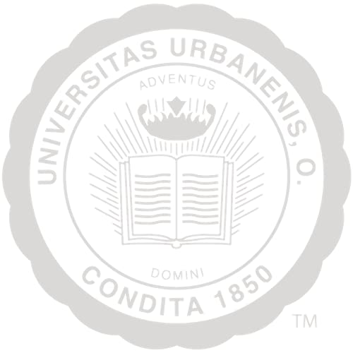 Urbana University - Officially Licensed - Master's/PhD/Post-2015 Bachelor's - Silver Embossed Diploma Frame - Document Size 11" x 8.5"