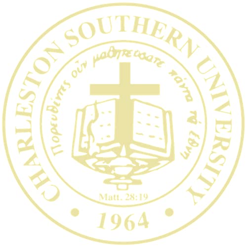 Charleston Southern University - Officially Licensed - Gold Embossed Tassel Diploma Frame - Document Size 11" x 14"