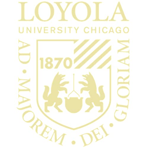 Loyola University Chicago - Officially Licensed - Medical - Gold Embossed Diploma Frame - Document Size 17" x 14"