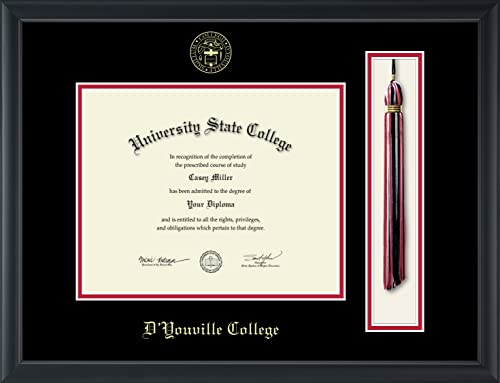 D'Youville College - Officially Licensed - Gold Embossed Tassel Diploma Frame - Document Size 10" x 8"