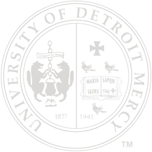 University of Detroit Mercy - Officially Licensed - Silver Embossed Diploma Frame - Document Size 11" x 8.5"