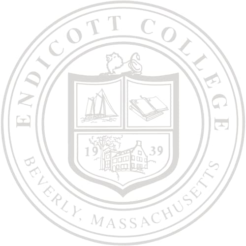 Endicott College - Officially Licensed - Silver Embossed Tassel Diploma Frame - Document Size 11" x 8.5"