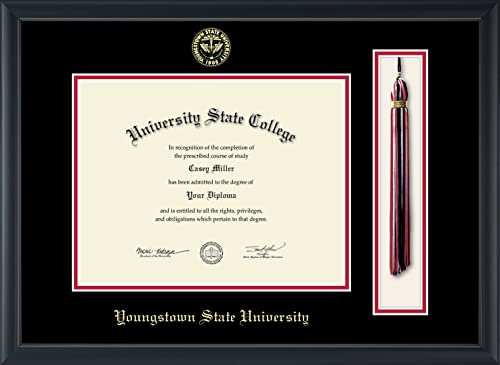 Youngstown State University - Officially Licensed - Gold Embossed Tassel Diploma Frame - Document Size 11" x 8.5"