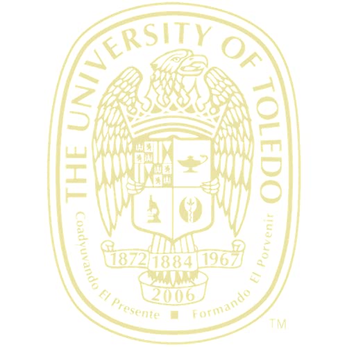 The University of Toledo - Officially Licensed - Master's/PhD - Gold Embossed Diploma Frame - Document Size 14" x 11"