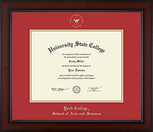 York College in New York School of Arts and Sciences - Officially Licensed - Gold Embossed Diploma Frame - Document Size 11" x 8.5"