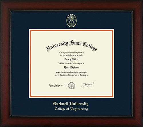 Bucknell University College of Engineering - Officially Licensed - Gold Embossed Diploma Frame - Document Size 10" x 8"