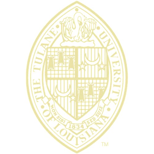 Tulane University School of Architecture - Officially Licensed - Gold Embossed Diploma Frame - Document Size 17" x 14"