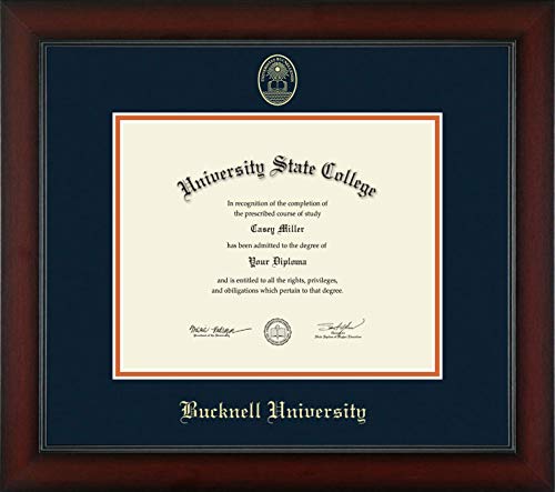 Bucknell University - Officially Licensed - Gold Embossed Diploma Frame - Document Size 10" x 8"