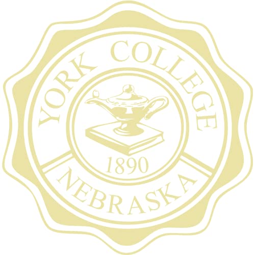 York College of Nebraska - Officially Licensed - Gold Embossed Tassel Diploma Frame - Document Size 10" x 8"