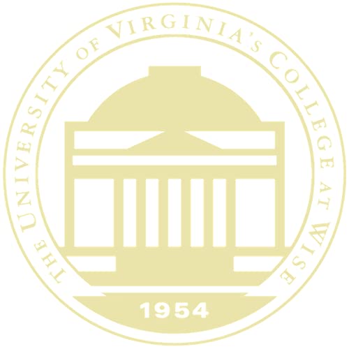 The University of Virginia's College at Wise - Officially Licensed - Gold Embossed Diploma Frame - Document Size 17" x 22"