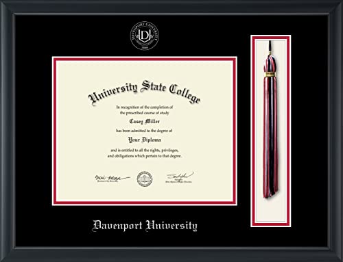 Davenport University - Officially Licensed - Silver Embossed Tassel Diploma Frame - Document Size 10" x 8"