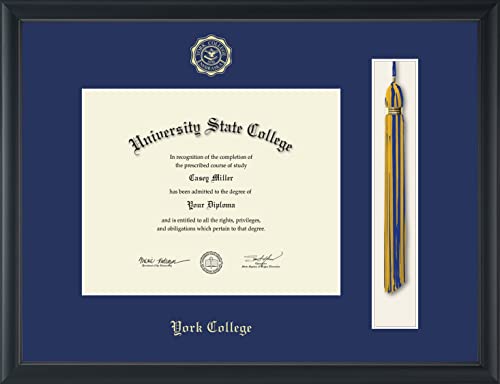 York College of Nebraska - Officially Licensed - Gold Embossed Tassel Diploma Frame - Document Size 10" x 8"