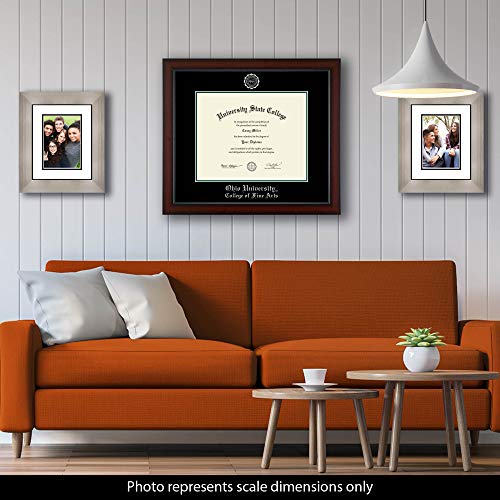 Ohio University College of Fine Arts - Officially Licensed - PhD - Silver Embossed Diploma Frame - Document Size 15" x 12"