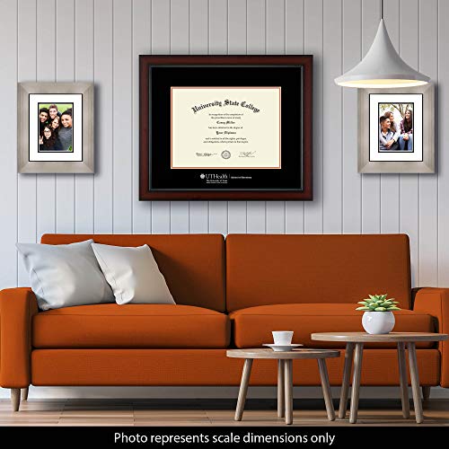 University of Texas Health Science Center at Houston School of Dentistry - Officially Licensed - Silver Embossed Diploma Frame - Document Size 16.25" x 12"