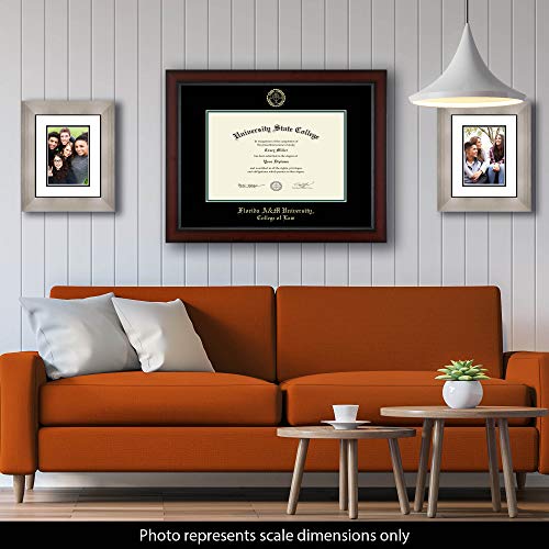 Florida A&M University College of Law - Officially Licensed - Gold Embossed Diploma Frame - Document Size 17" x 11"