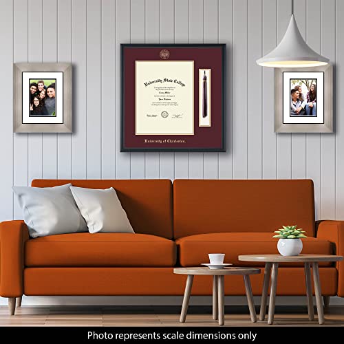 University of Charleston - Officially Licensed - Gold Embossed Tassel Diploma Frame - Document Size 11" x 14"