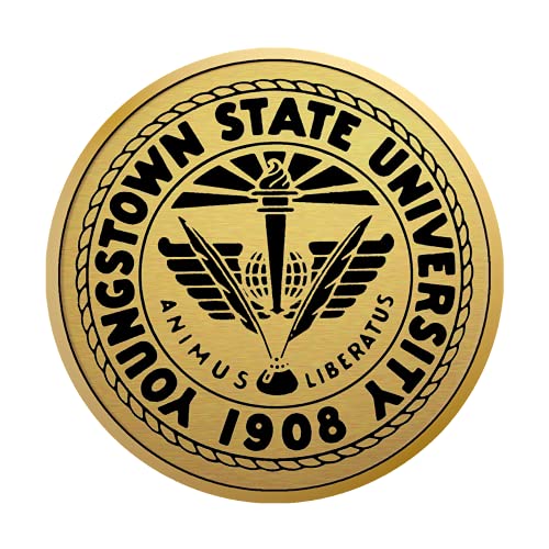 Youngstown State University - Officially Licensed - Gold Medallion Diploma Frame - Document Size 11" x 8.5"