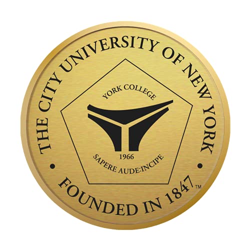 York College in New York - Officially Licensed - Gold Medallion Diploma Frame - Document Size 11" x 8.5"