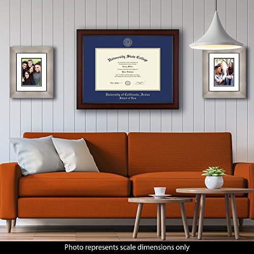 University of California Irvine School of Law - Officially Licensed - Gold Embossed Diploma Frame - Document Size 17" x 11"